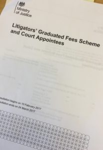 litigators' fee consultation